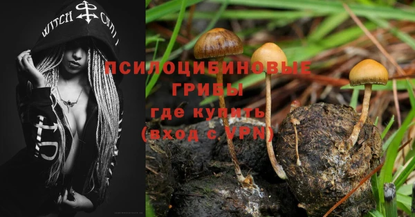 амф Алзамай