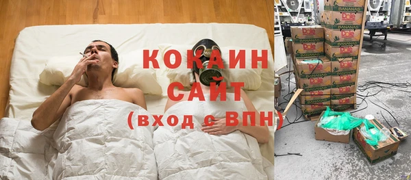 соль ск Алексин