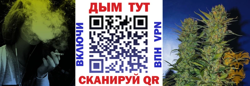 где можно купить наркотик  Кашин  Конопля White Widow 